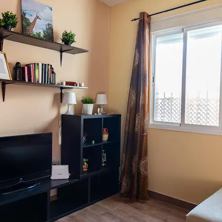 Apartment Calido Apartamento En Centro Con Terraza