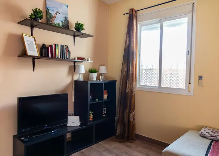 Apartment Calido Apartamento En Centro Con Terraza